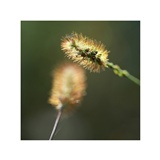 dailyPhoto27