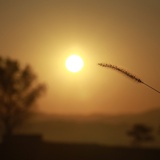 dailyPhoto30