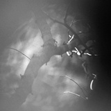 dailyPhoto11