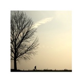 dailyPhoto27