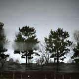 dailyPhoto4