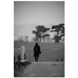 dailyPhoto3
