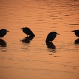 dailyPhoto25