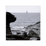 dailyPhoto35