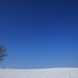 dailyPhoto25