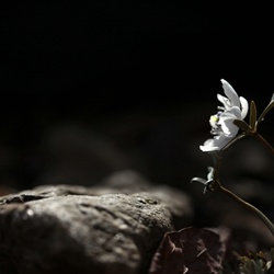 dailyPhoto40