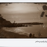 dailyPhoto12