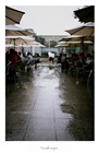 dailyPhoto3