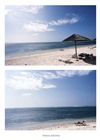 dailyPhoto7