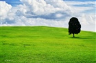 dailyPhoto12