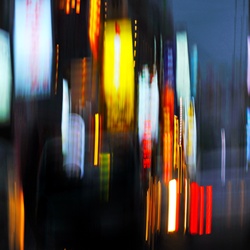 dailyPhoto7
