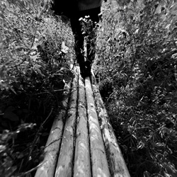 dailyPhoto4