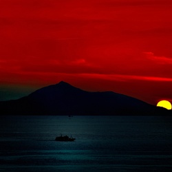 dailyPhoto9