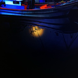 dailyPhoto40
