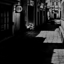 dailyPhoto4