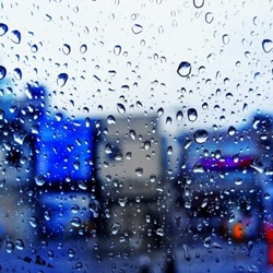 dailyPhoto12