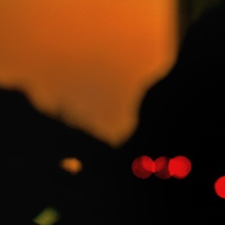 dailyPhoto7