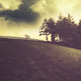 dailyPhoto16