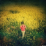 dailyPhoto36