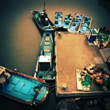 dailyPhoto5