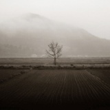 dailyPhoto15