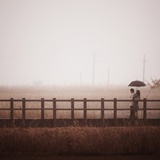 dailyPhoto26