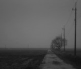 dailyPhoto17