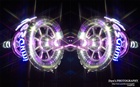 dailyPhoto12