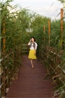 dailyPhoto6
