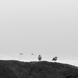 dailyPhoto13