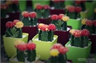 dailyPhoto5