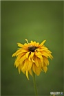 dailyPhoto10