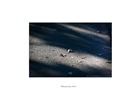 dailyPhoto34