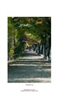 dailyPhoto2