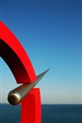 dailyPhoto4
