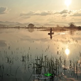 dailyPhoto9