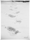 dailyPhoto21