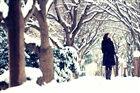 dailyPhoto5