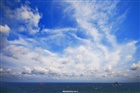 dailyPhoto8