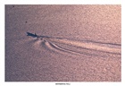 dailyPhoto20