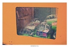 dailyPhoto4