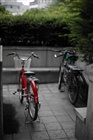 dailyPhoto40