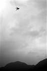 dailyPhoto35
