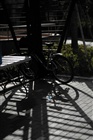 dailyPhoto6