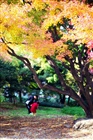dailyPhoto14
