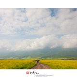 dailyPhoto37