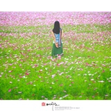 dailyPhoto35
