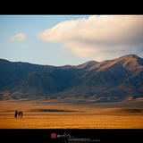 dailyPhoto10