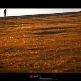 dailyPhoto33