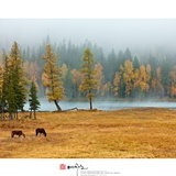 dailyPhoto4